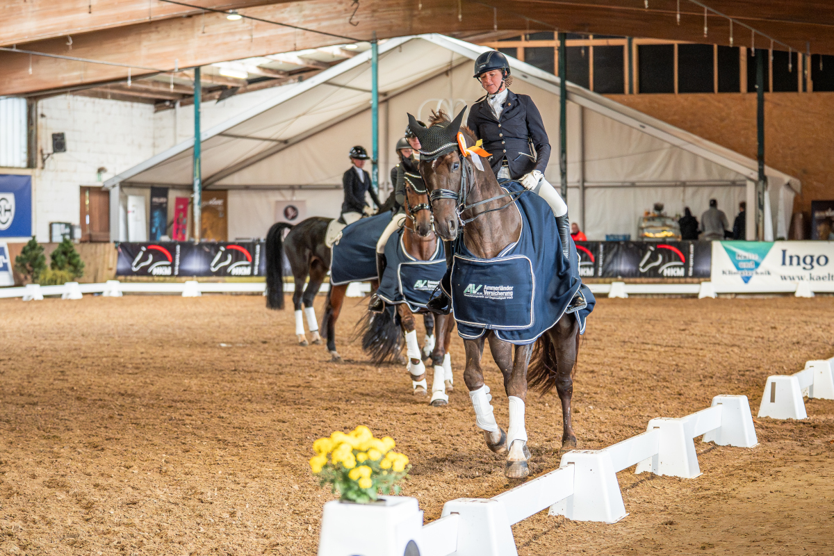 Schon gewusst? Reitsport ist Teil unserer DNA.